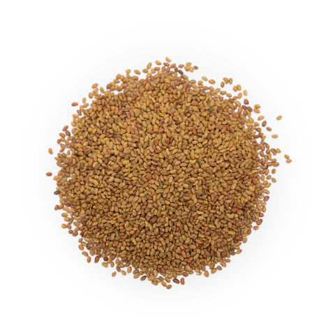 Alfalfa Seed - Whole (Organic)