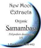 Samambaia Tincture (Organic)