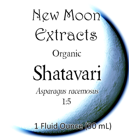 Shatavari Tincture (Organic)