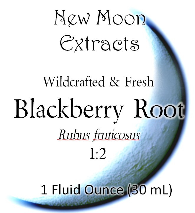 Blackberry Root Tincture (Wildcrafted, Fresh)