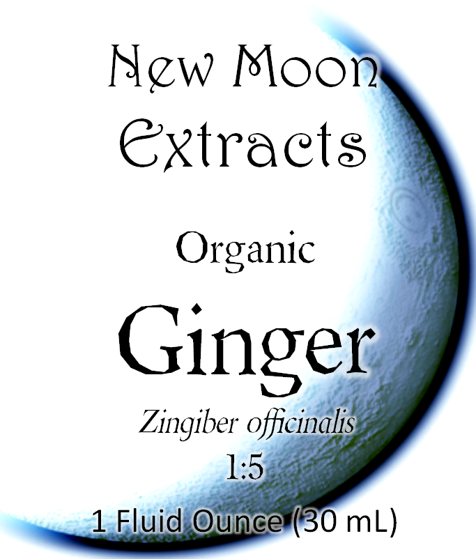 Ginger Tincture (Organic)