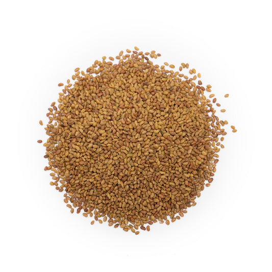 Alfalfa Seed - Whole (Organic)