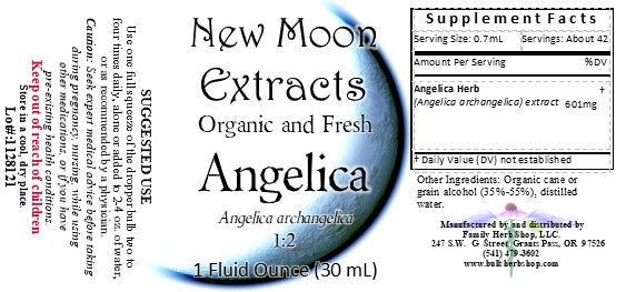 Angelica Tincture (Organic, Fresh)