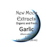 Garlic Tincture (Organic, Fresh)