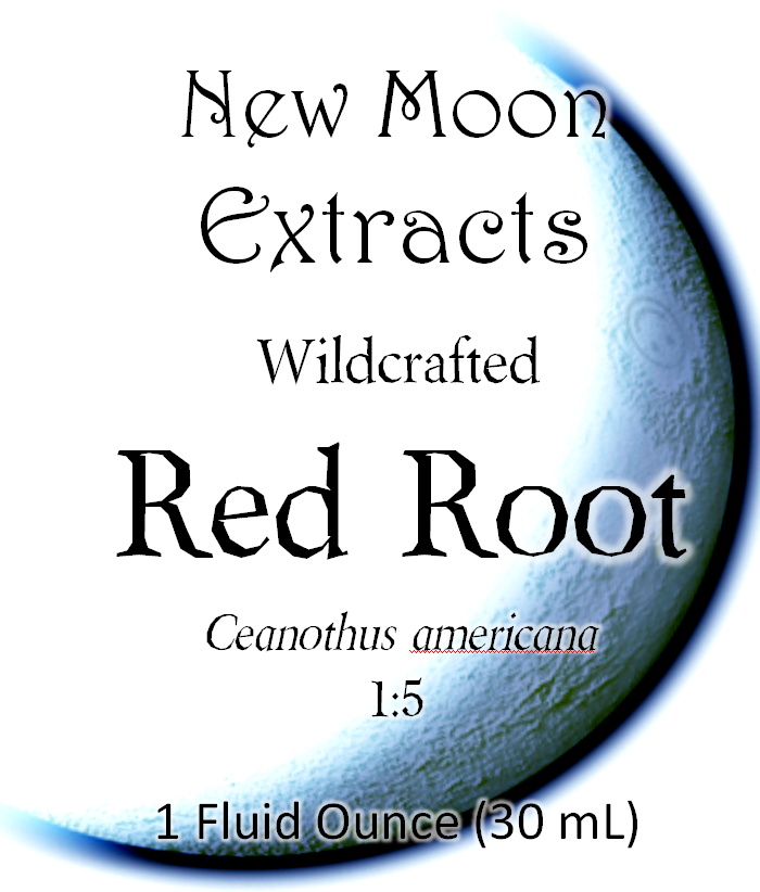 Red Root Tincture (Wildcrafted)