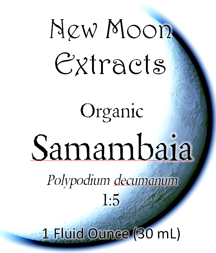 Samambaia Tincture (Organic)