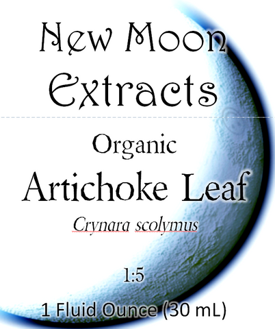 Artichoke Leaf Tincture (Organic)