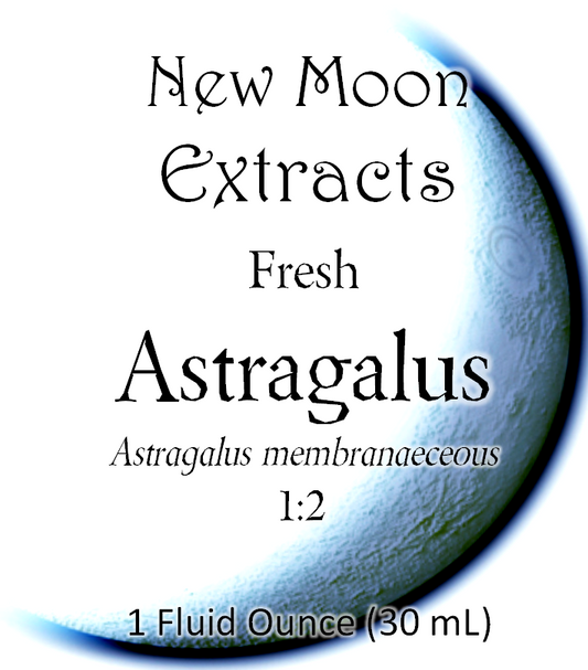 Astragalus Tincture (Fresh)