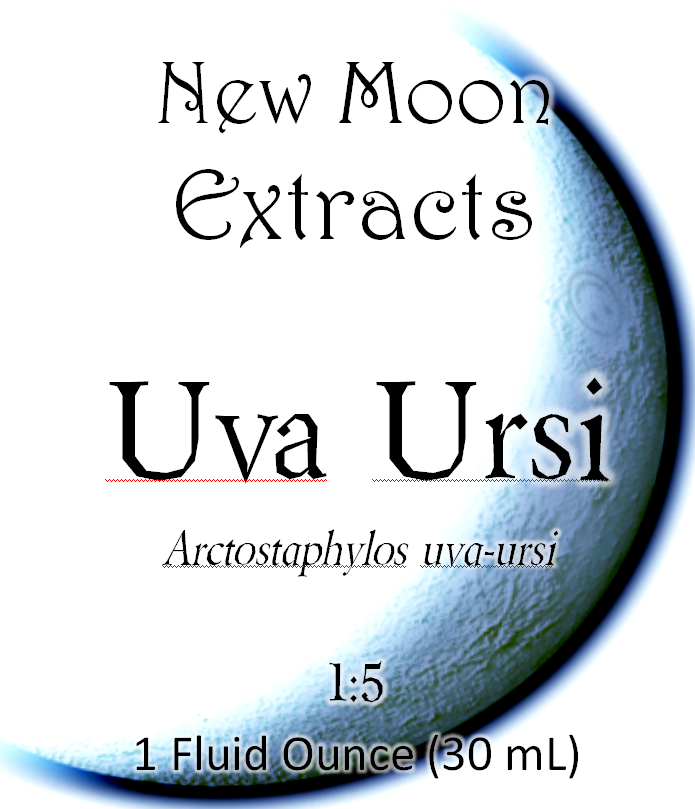 Uva Ursi (Bearberry) Tincture