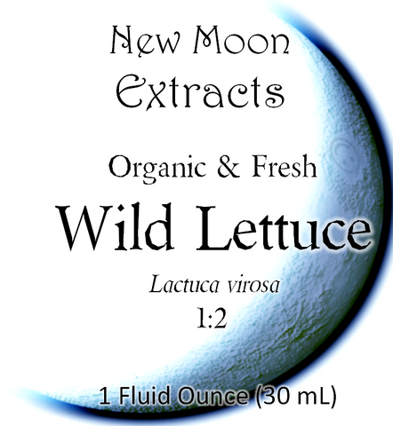 Wild Lettuce Tincture (Organic, Fresh)