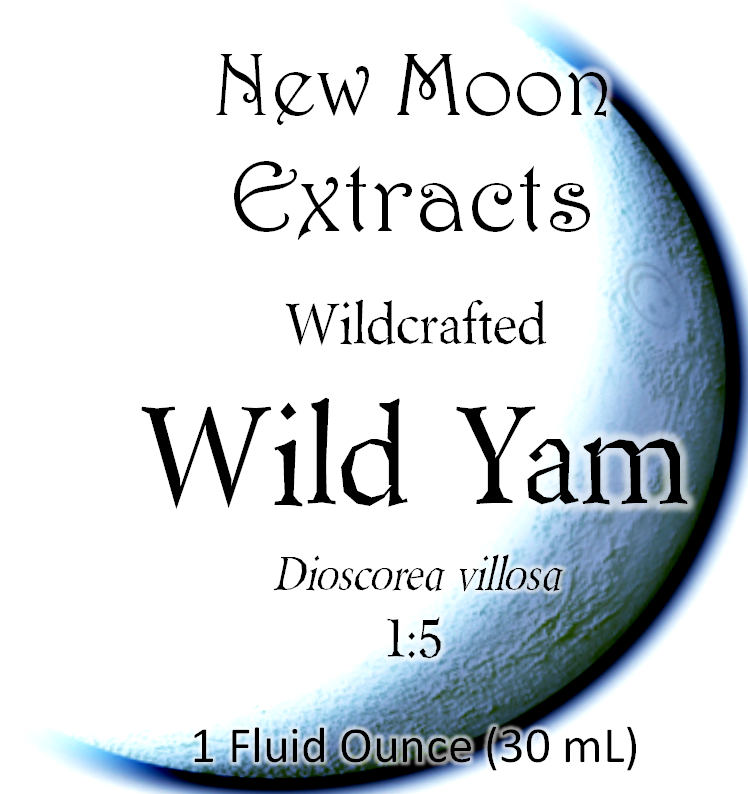 Wild Yam Tincture (Wildcrafted)