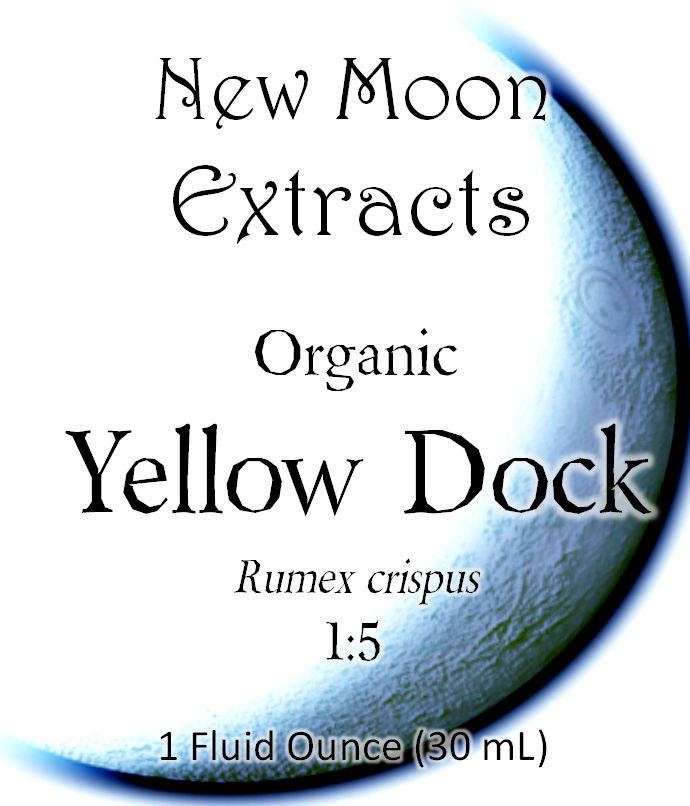 Yellow Dock Tincture (Organic)