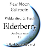 Elderberry Tincture (Wildcrafted, Fresh)