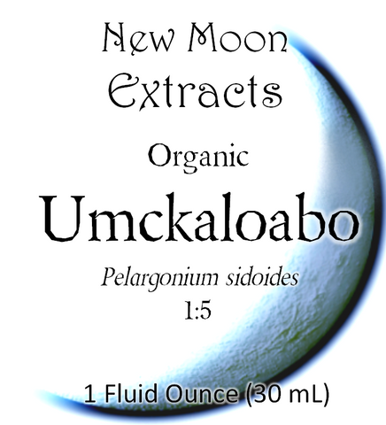 Umckaloabo Tincture (Organic)