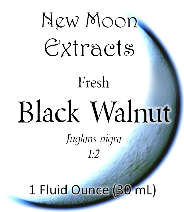 Black Walnut Tincture (Fresh)