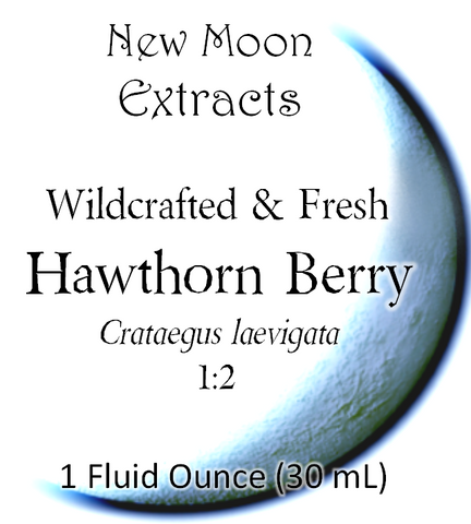 Hawthorn Berry Tincture (Wildcrafted, Fresh)