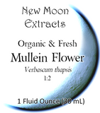Mullein Flower Tincture (Organic)