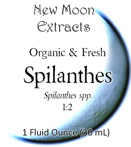 Spilanthes Tincture (Organic, Fresh)