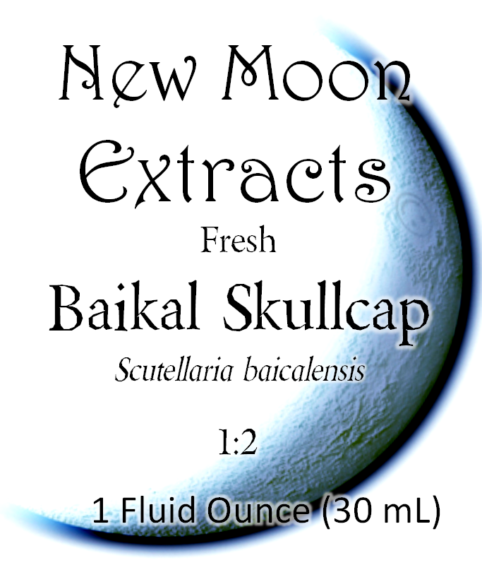Baikal/Chinese Skullcap (Fresh)