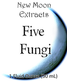 Five Fungi Tincture Blend (Wildcrafted, Organic)