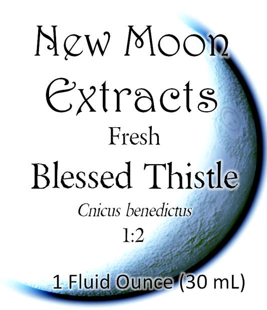 Blessed Thistle Tincture (Fresh)