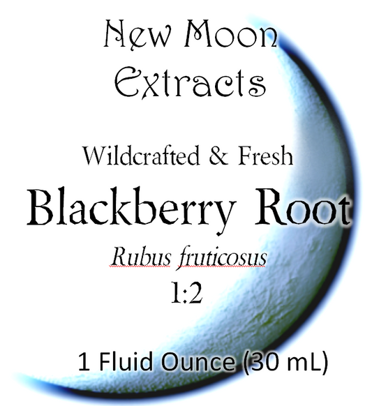 Blackberry Root Tincture (Wildcrafted, Fresh)