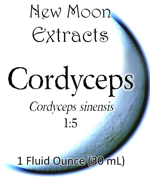 Cordyceps Tincture