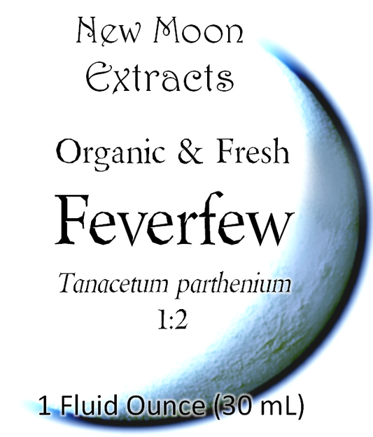 Feverfew Tincture (Organic, Fresh)