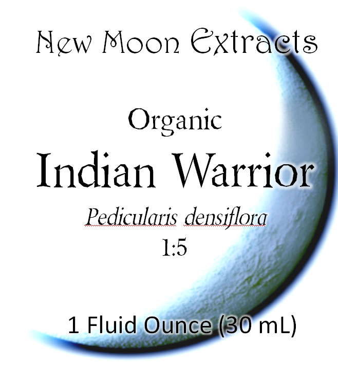 Indian Warrior (Pedicularis) Tincture (Organic)