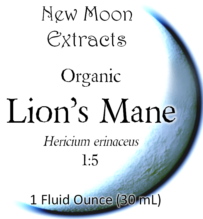 Lion's Mane Tincture (Organic)