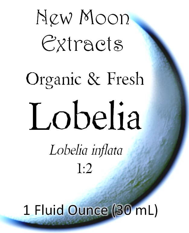 Lobelia Tincture (Organic, Fresh)