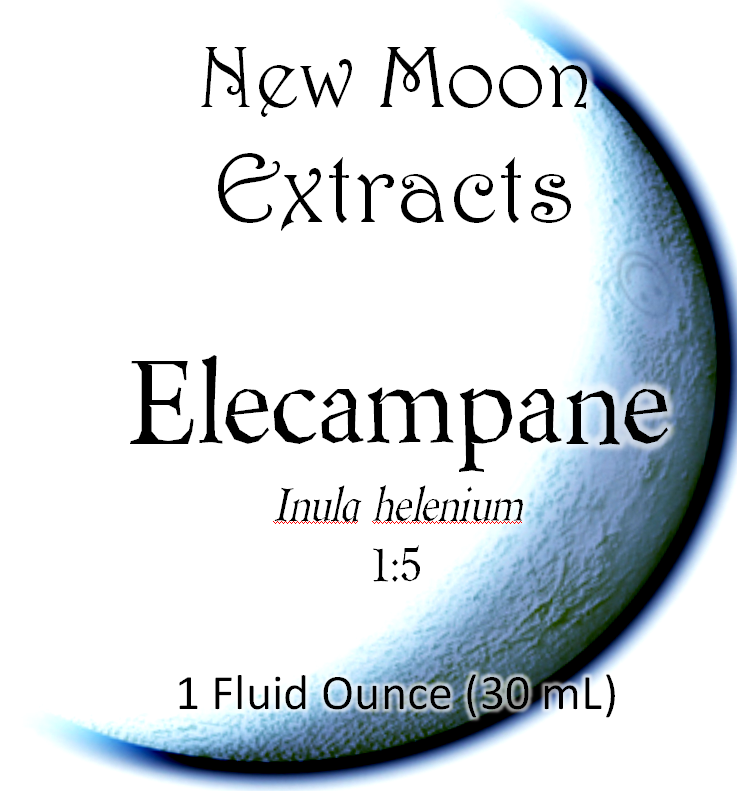 Elecampane Tincture