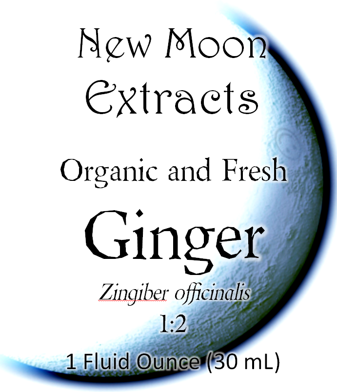 Ginger Tincture (Organic, Fresh)