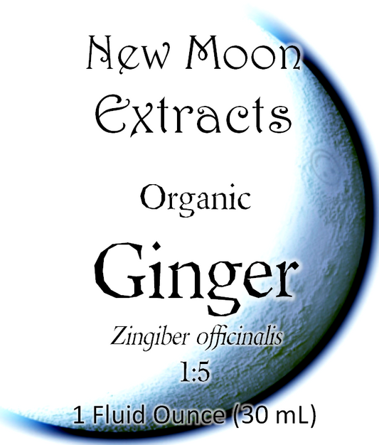 Ginger Tincture (Organic)