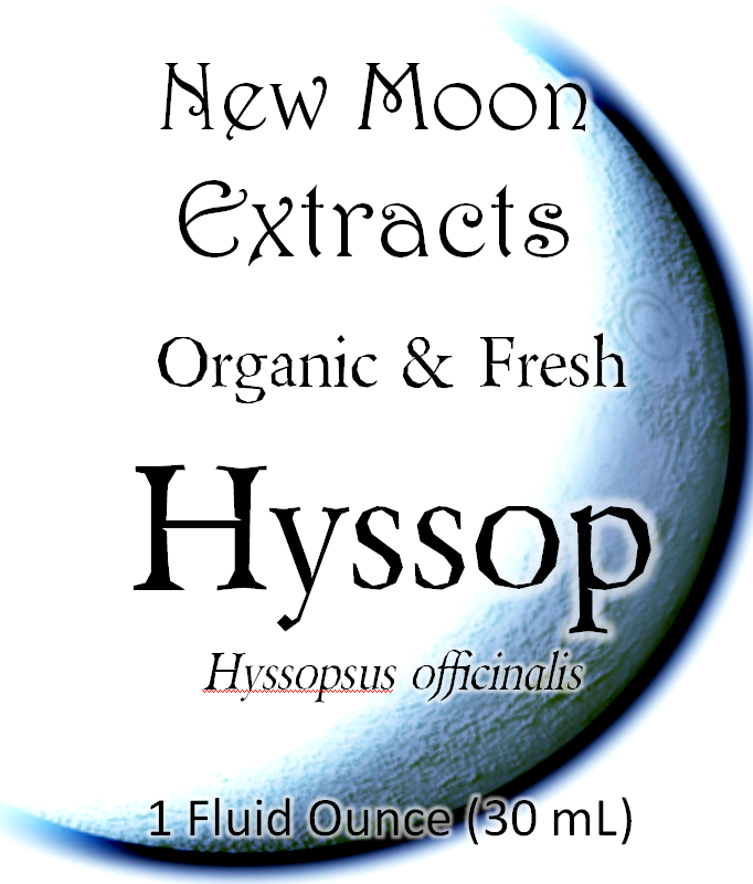 Hyssop Tincture (Organic, Fresh)