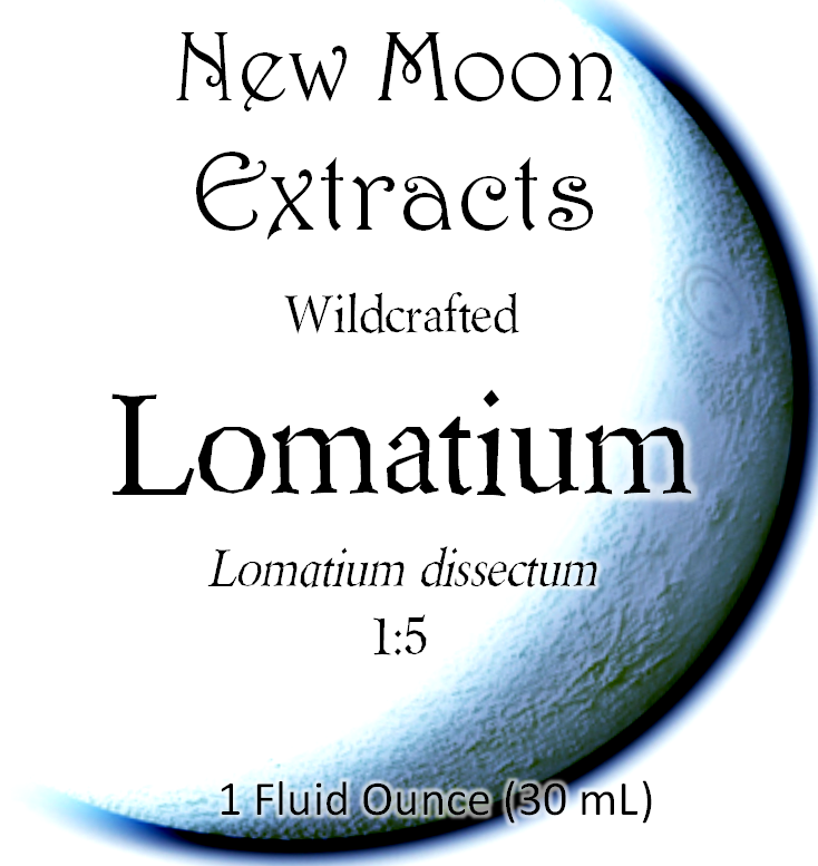 Lomatium Tincture (Wildcrafted)