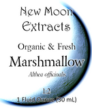 Marshmallow Tincture (Organic, Fresh)