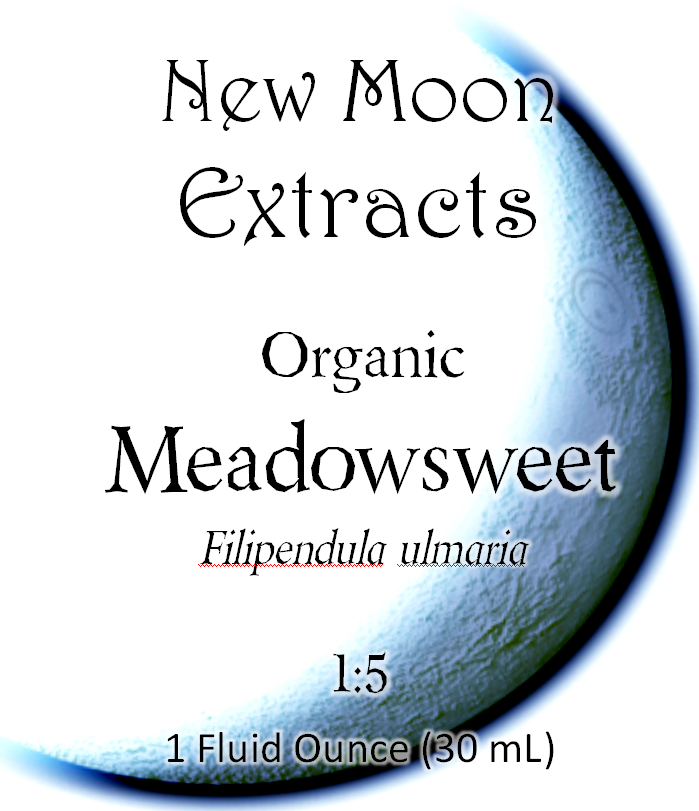 Meadowsweet Tincture (Organic)
