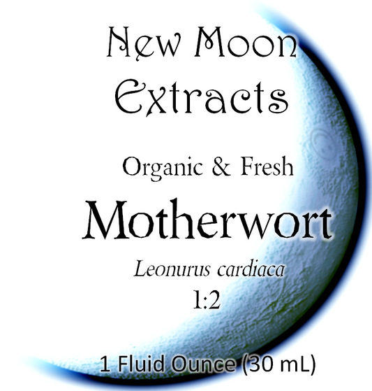 Motherwort Tincture (Organic, Fresh)