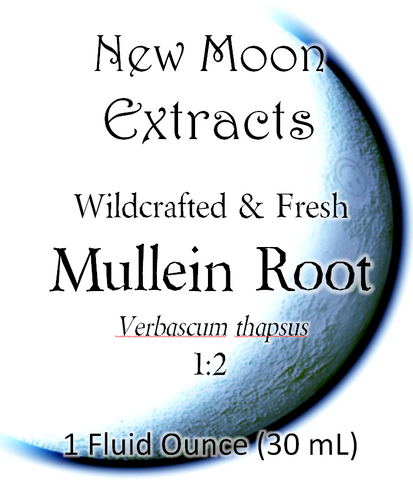 Mullein Root Tincture (Wildcrafted, Fresh)