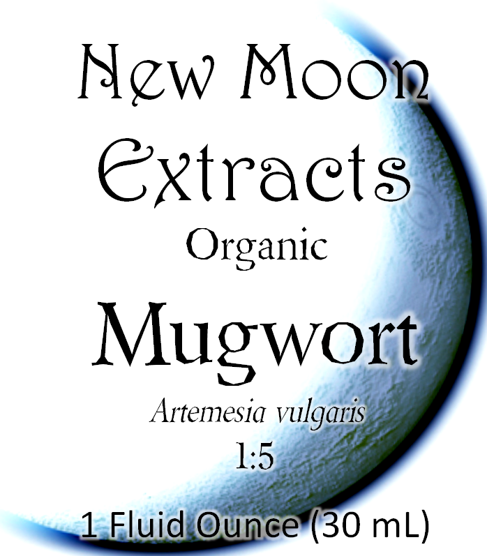 Mugwort Tincture (Organic)