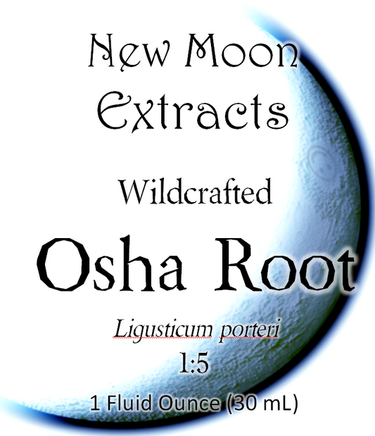 Osha Tincture (Wildcrafted)