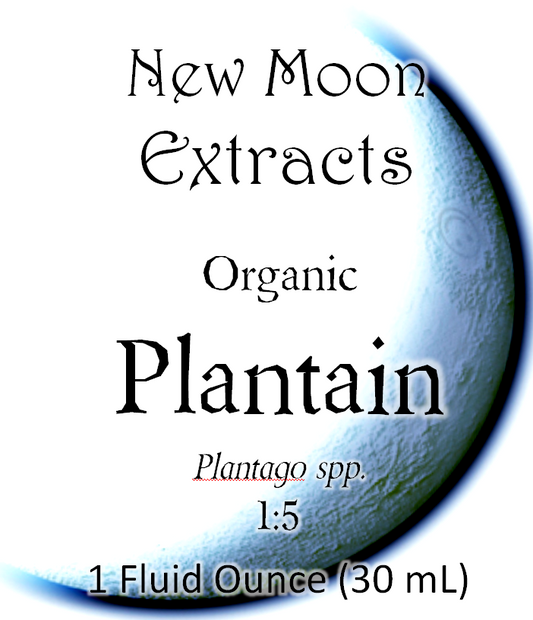 Plantain Tincture (Organic)